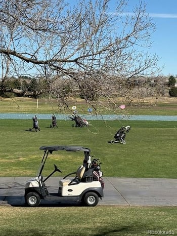 4 Shetland Ct, Highlands Ranch, CO 80130