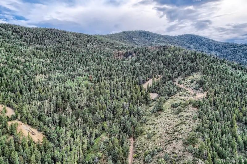 Lots 1 - 2 Harvest Moon Trl, Dumont, CO 80436