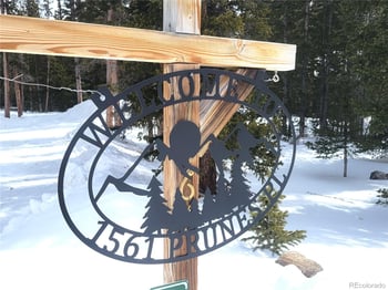 1561 Prunes Pl, Fairplay, CO 80440