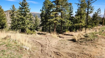 347 Deer Trail Cir, Boulder, CO 80302