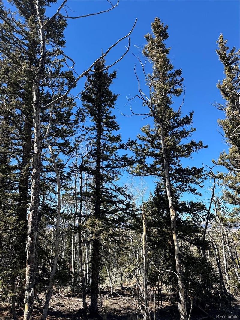 505 Quarter Horse Rd, Jefferson, CO 80456