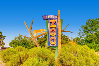 1516 Cook St, Denver, CO 80206