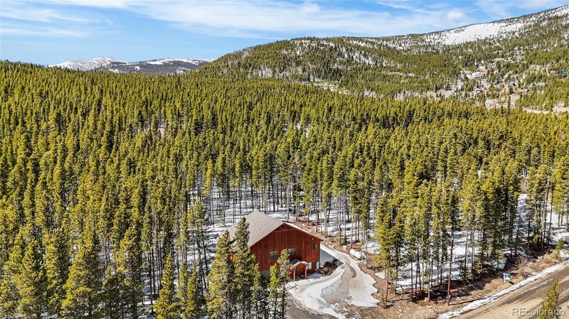 79 Beaver Rd, Idaho Springs, CO 80452