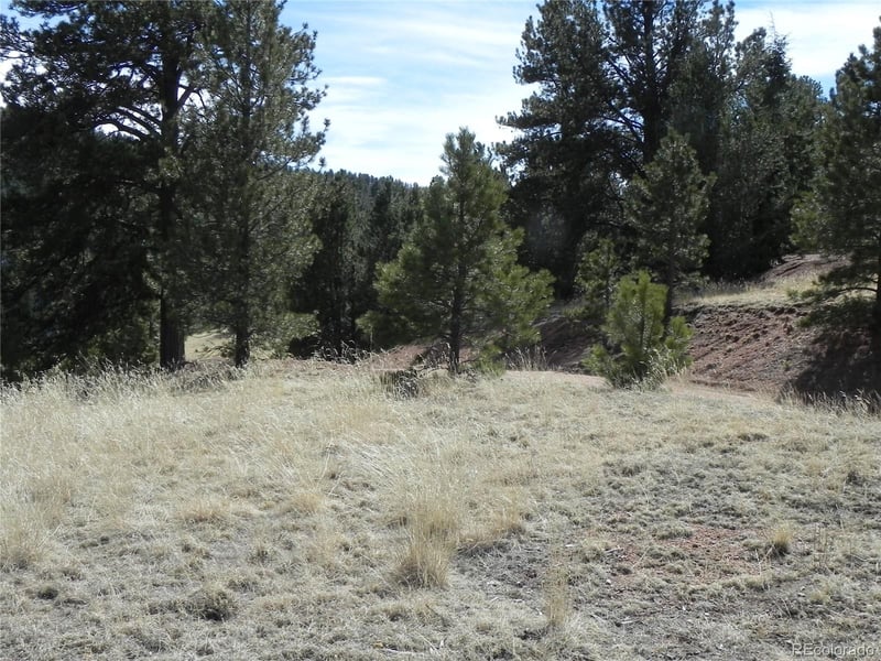 1087 Monarch Dr, Cripple Creek, CO 80813