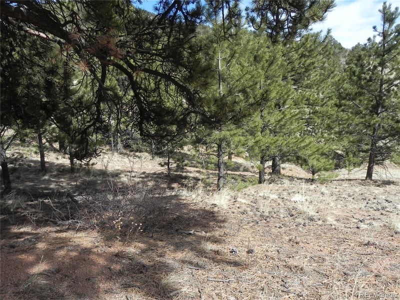 1087 Monarch Dr, Cripple Creek, CO 80813