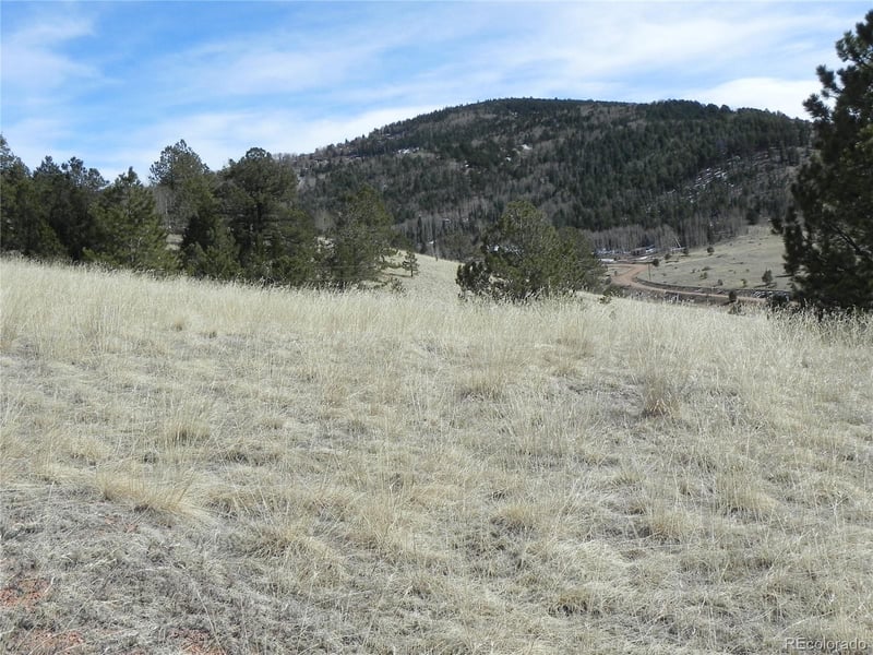 1087 Monarch Dr, Cripple Creek, CO 80813