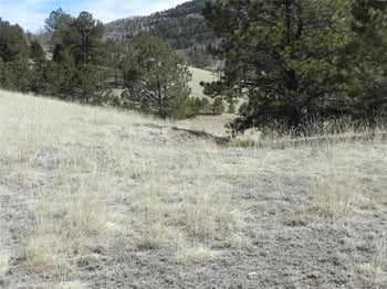 1087 Monarch Dr, Cripple Creek, CO 80813