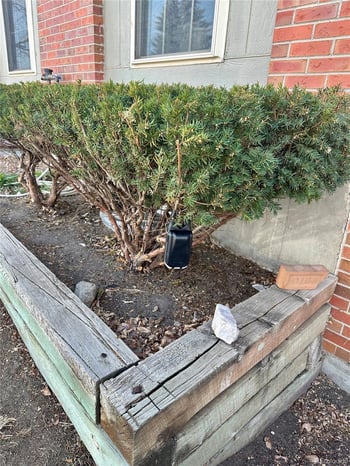 11363 Newland St, Westminster, CO 80020