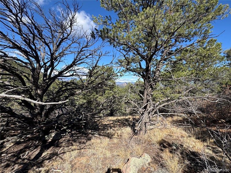 TR-143 18th Trl, Cotopaxi, CO 81223