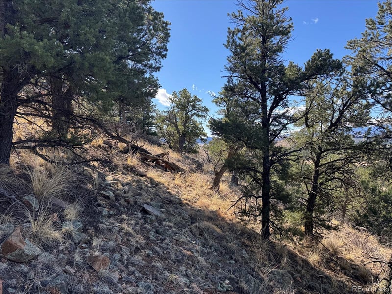 TR-143 18th Trl, Cotopaxi, CO 81223