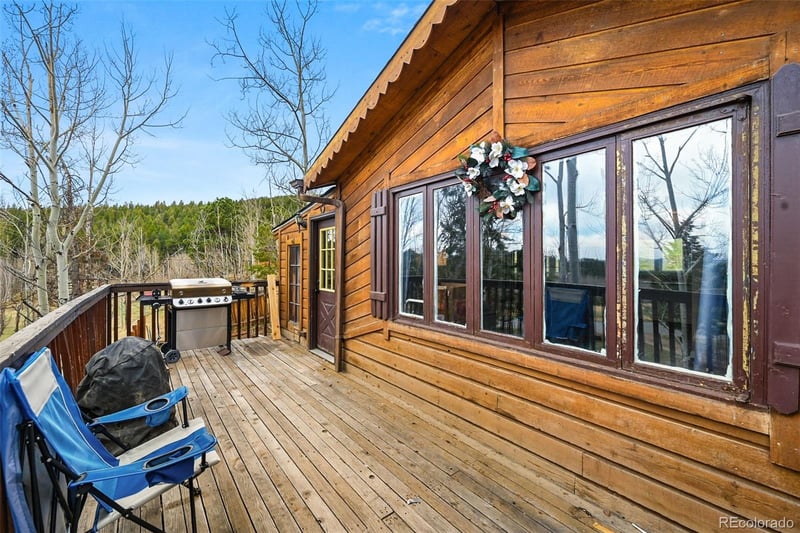 312 S Pine Dr, Bailey, CO 80421