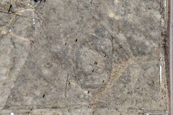 16670 Misfit Crew Hts, Colorado Springs, CO 80908