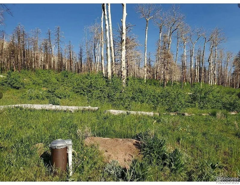 2067 Korlkoff Ln, Fort Garland, CO 81133