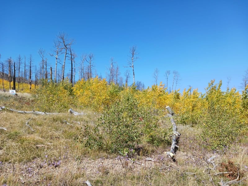 2067 Korlkoff Ln, Fort Garland, CO 81133