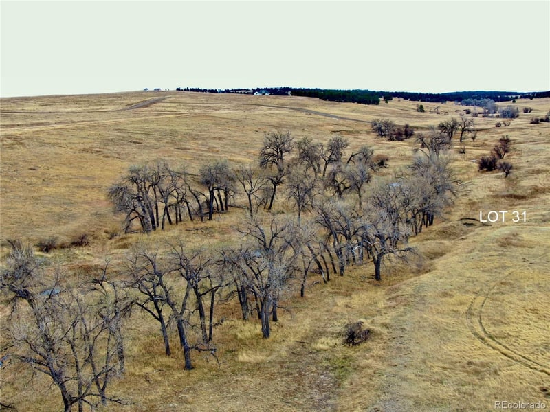 Happiness Trail Lot 31, Kiowa, CO 80117