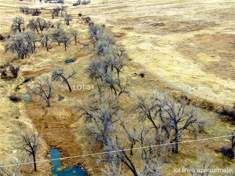 Happiness Trail Lot 31, Kiowa, CO 80117