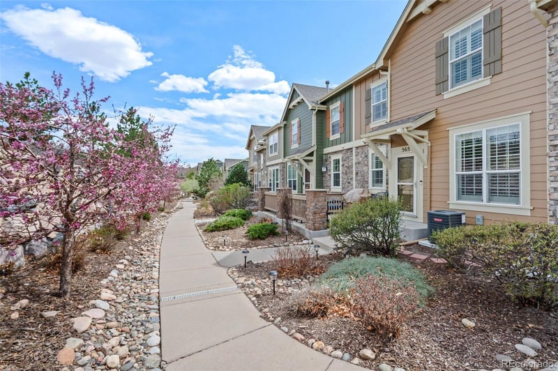 565 Hanging Rock Pl, Castle Rock, CO 80108