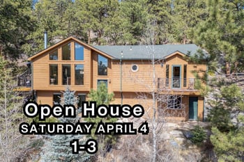22081 Bardwell Ave, Conifer, CO 80433