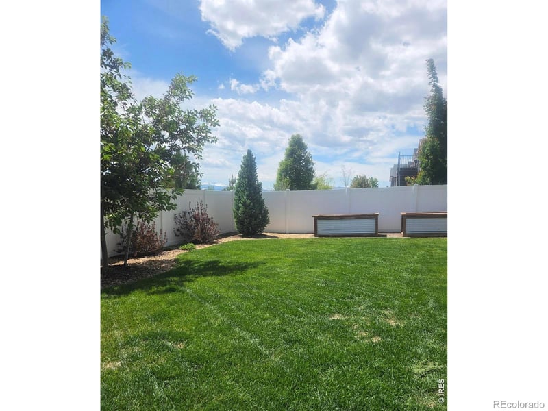 1853 Holloway Dr, Windsor, CO 80550