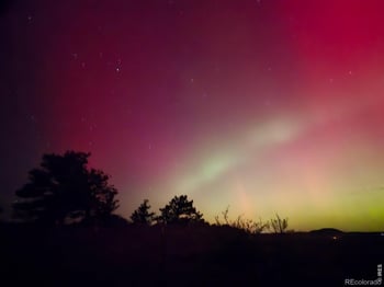 795 Sundance Dr, Livermore, CO 80536