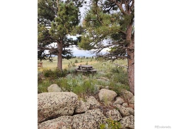795 Sundance Dr, Livermore, CO 80536