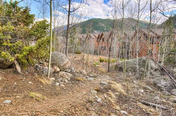 71 Antlers Gulch Rd #303, Keystone, CO 80435