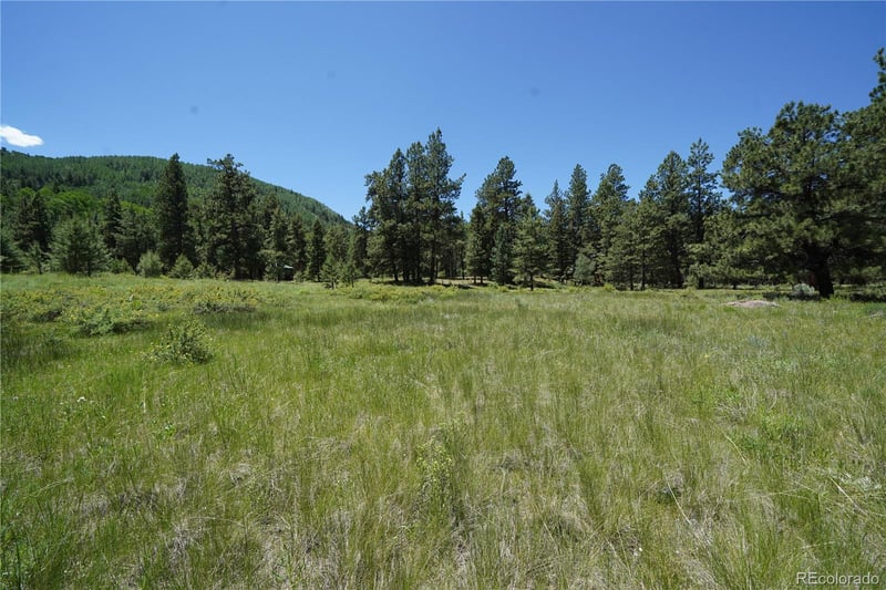 136 Elk Meadow Rn, Antonito, CO 81120
