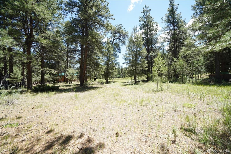 136 Elk Meadow Rn, Antonito, CO 81120