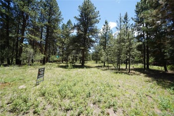 136 Elk Meadow Rn, Antonito, CO 81120
