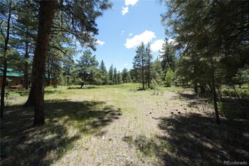 136 Elk Meadow Rn, Antonito, CO 81120