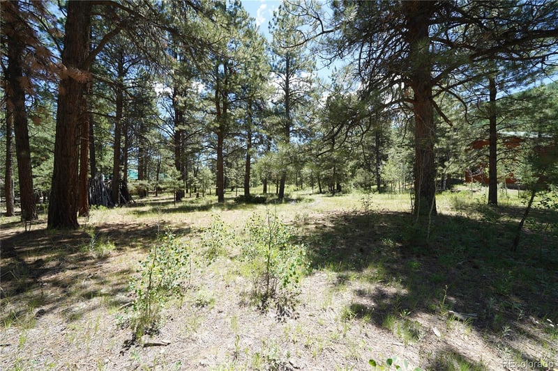 136 Elk Meadow Rn, Antonito, CO 81120