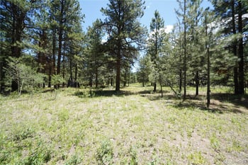 136 Elk Meadow Rn, Antonito, CO 81120