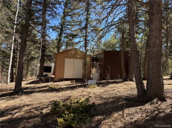 249 Gold Dust Creek Rd, Florissant, CO 80816