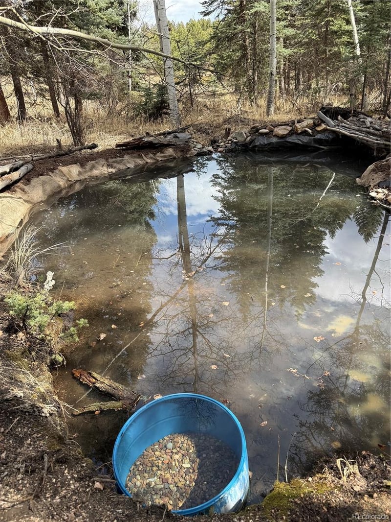 249 Gold Dust Creek Rd, Florissant, CO 80816