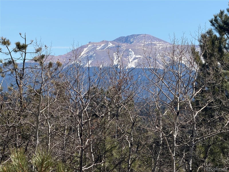 249 Gold Dust Creek Rd, Florissant, CO 80816