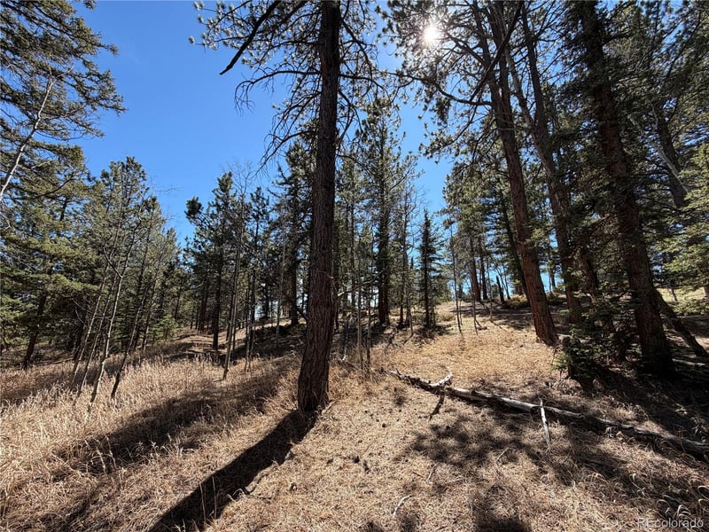 249 Gold Dust Creek Rd, Florissant, CO 80816