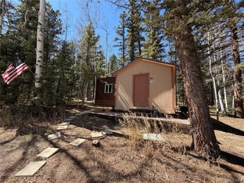 249 Gold Dust Creek Rd, Florissant, CO 80816