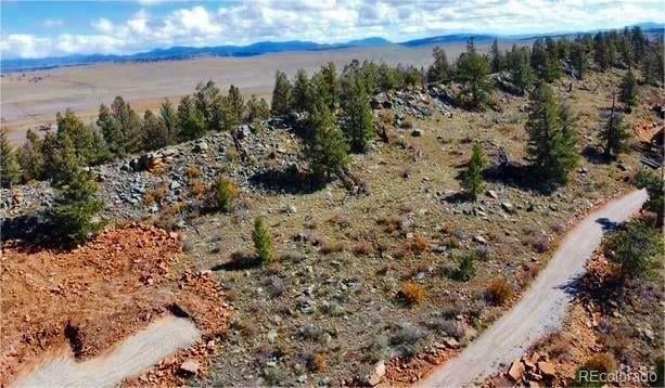 44 Arthurs Ct, Fairplay, CO 80440