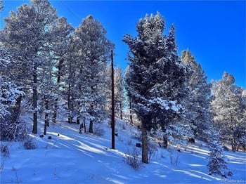 44 Arthurs Ct, Fairplay, CO 80440