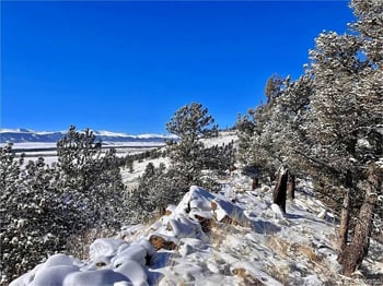 44 Arthurs Ct, Fairplay, CO 80440