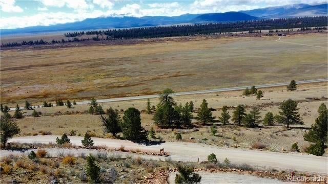 44 Arthurs Ct, Fairplay, CO 80440