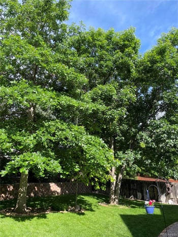 5716 Danube Cir, Aurora, CO 80015