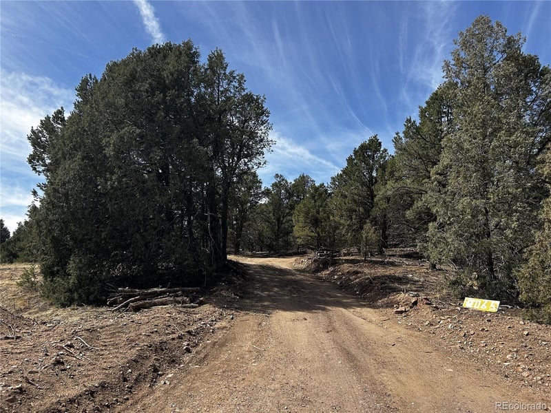 2065 Indian Wells Rd, Cotopaxi, CO 81223