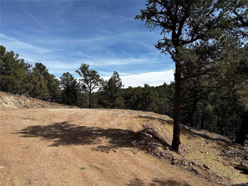 2065 Indian Wells Rd, Cotopaxi, CO 81223