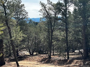 2065 Indian Wells Rd, Cotopaxi, CO 81223