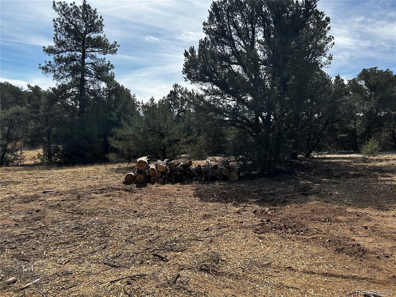 2065 Indian Wells Rd, Cotopaxi, CO 81223