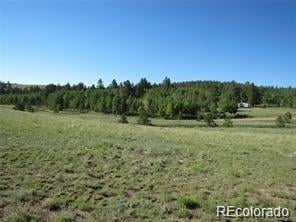 257 Bolster Dr Lot 1094, Hartsel, CO 80449