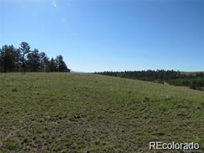 257 Bolster Dr Lot 1094, Hartsel, CO 80449