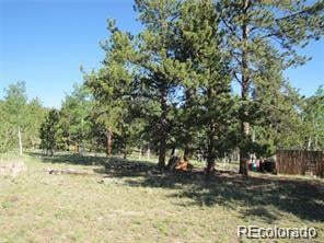 257 Bolster Dr Lot 1094, Hartsel, CO 80449