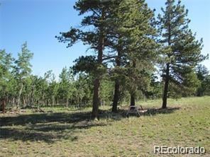 257 Bolster Dr Lot 1094, Hartsel, CO 80449